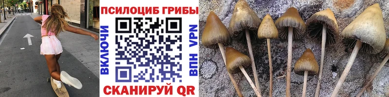 МЕГА ONION  Нарьян-Мар  Псилоцибиновые грибы прущие грибы 
